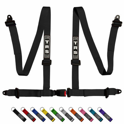 Bolt In 4 Point Road Harness