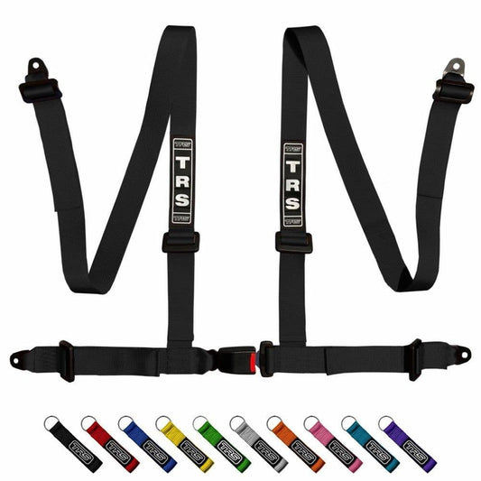 Bolt In 4 Point Road Harness